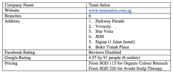 1. Team Salon