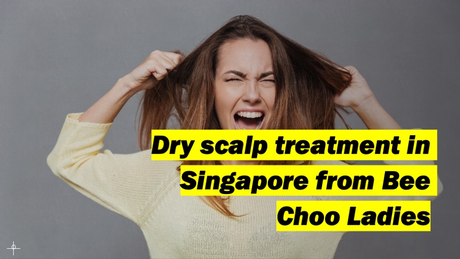 Dry scalp treatment in Singapore from Bee Choo Ladies